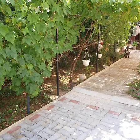 Apartman Augustus